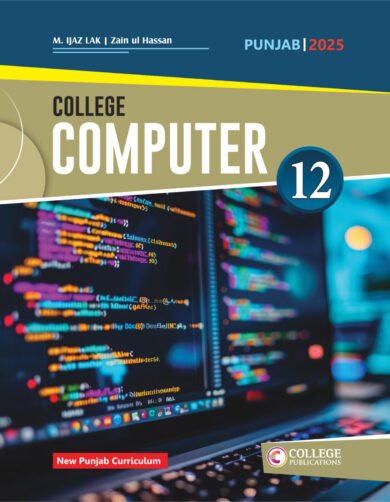 Computer 12 Subjective (Punjab Board)